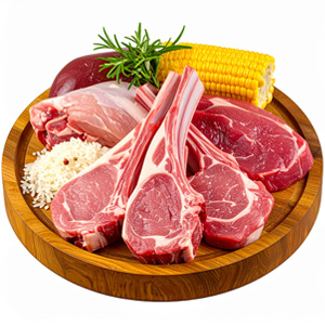 VZOREK Granule pro psy TYGERO DAILY BEEF - střední a velké plemeno VZOREK Granule pro psy TYGERO DAILY BEEF - střední a velké plemeno