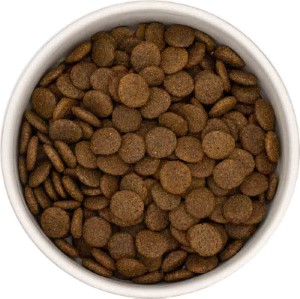 Obrázek Granule pro psy TYGERO 50 Zvěřina s Lososem - střední plemeno - 12kg Obrazek 9349854